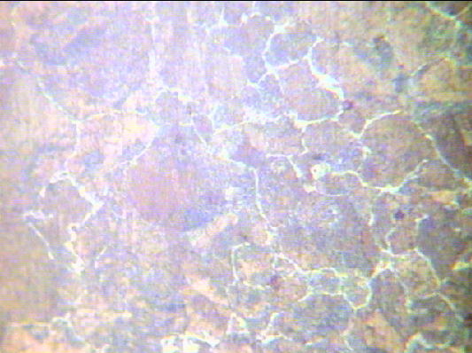 03.bmp
