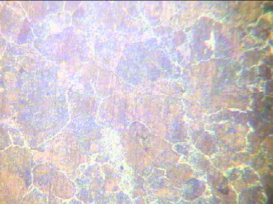 04.bmp