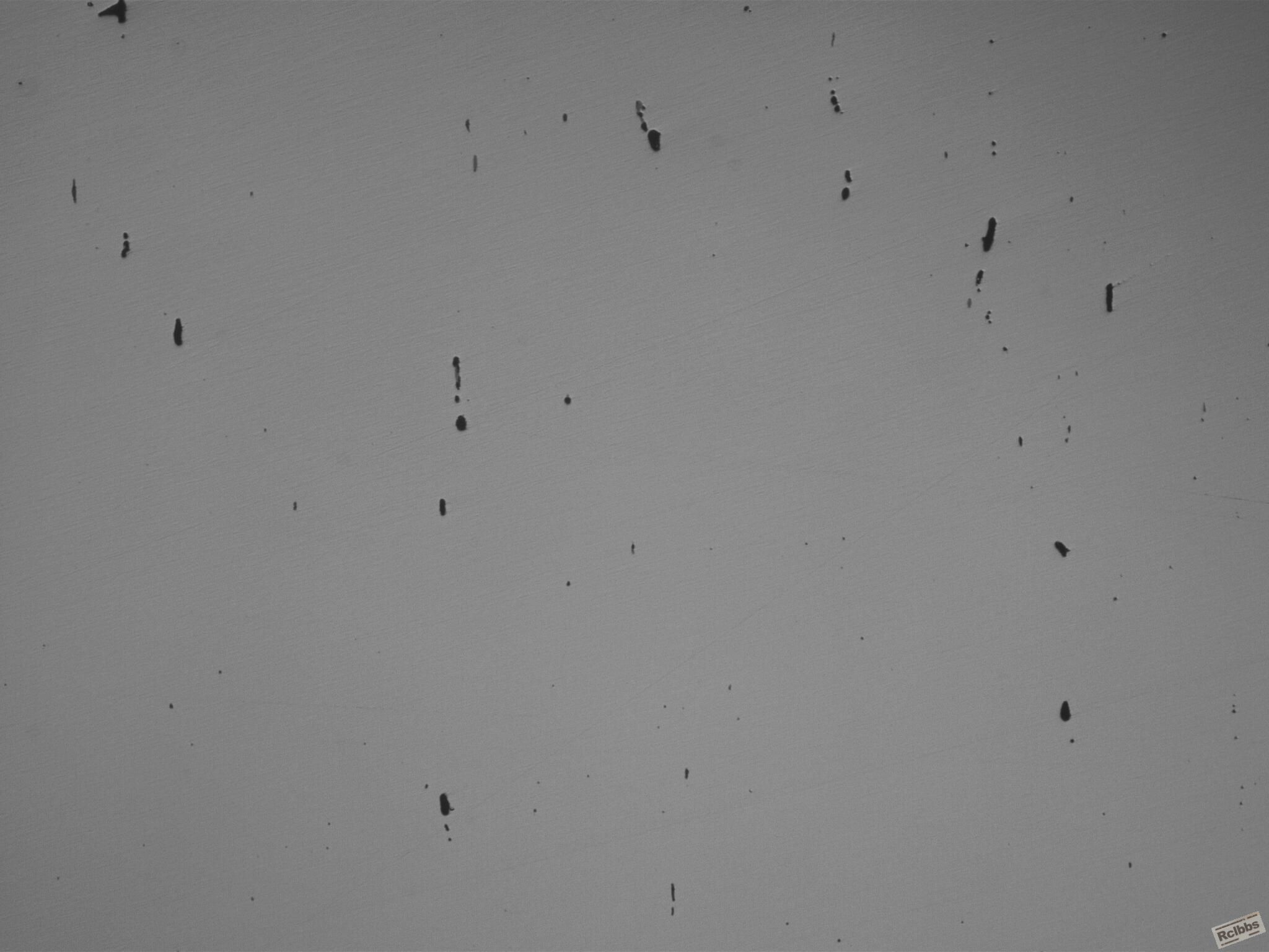 1.2367(100X) 020416_001.JPG