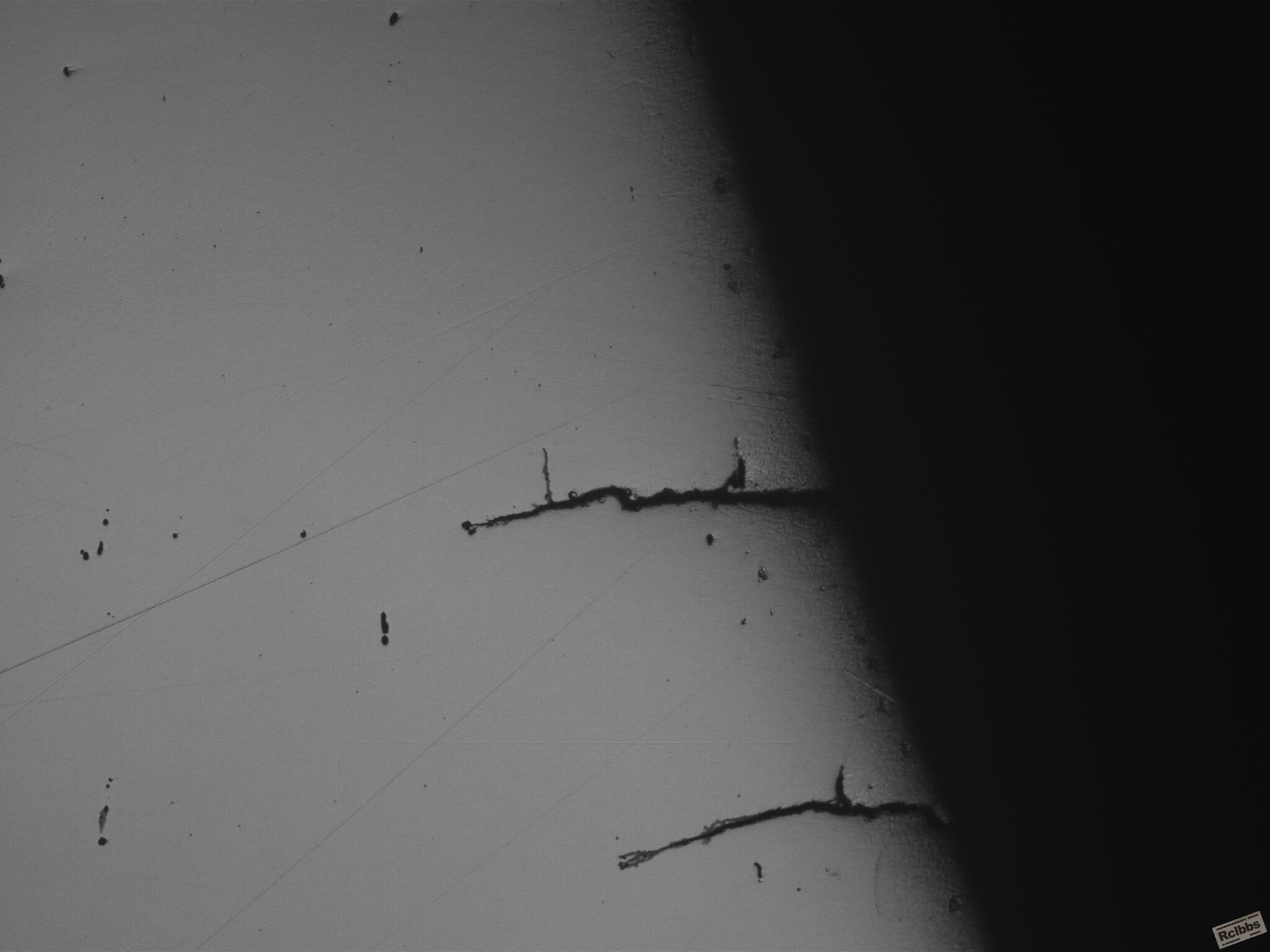 1.2367(100X) 020416_002.JPG