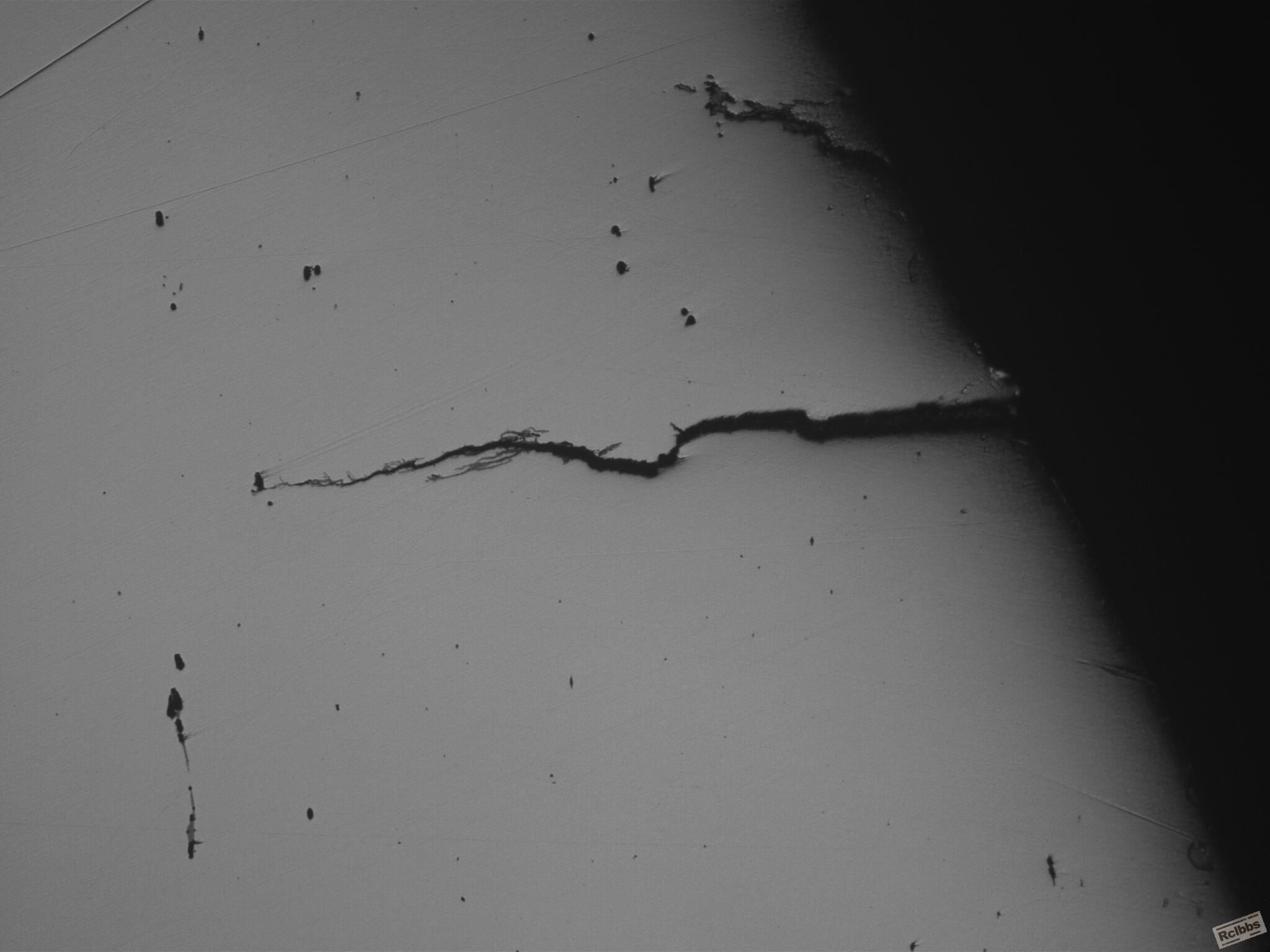 1.2367(100X) 020416_003.JPG