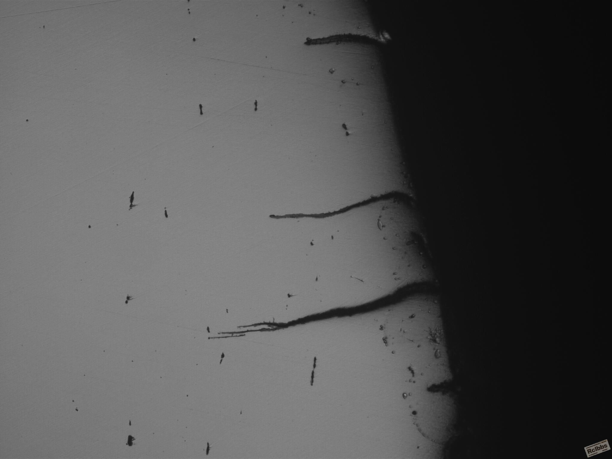 1.2367(100X) 020416_004.JPG