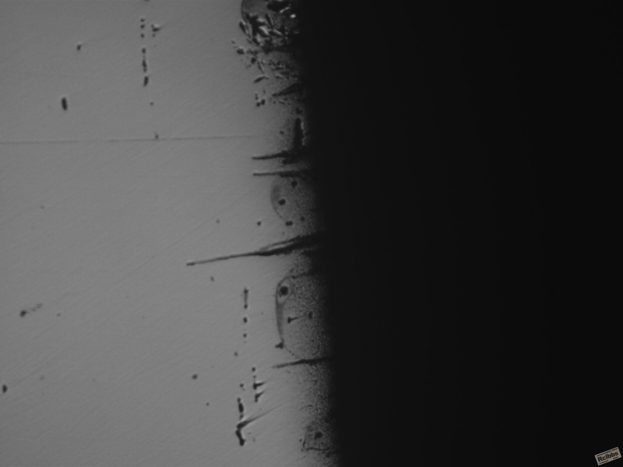 1.2367(100X) 020416_005.JPG