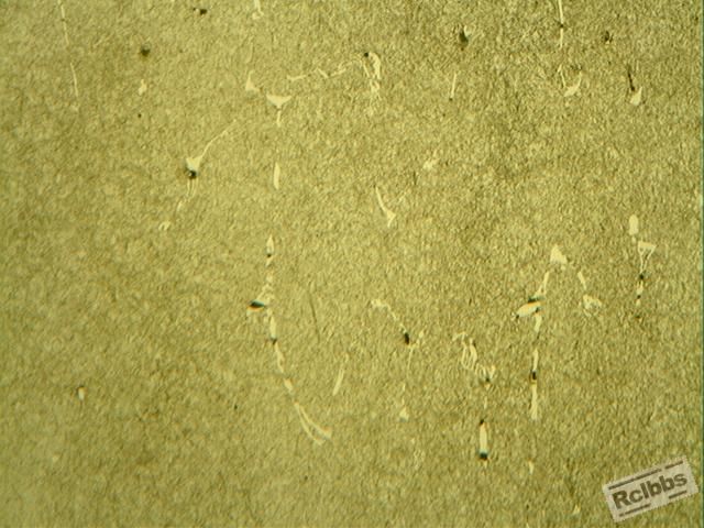 100X-1.jpg