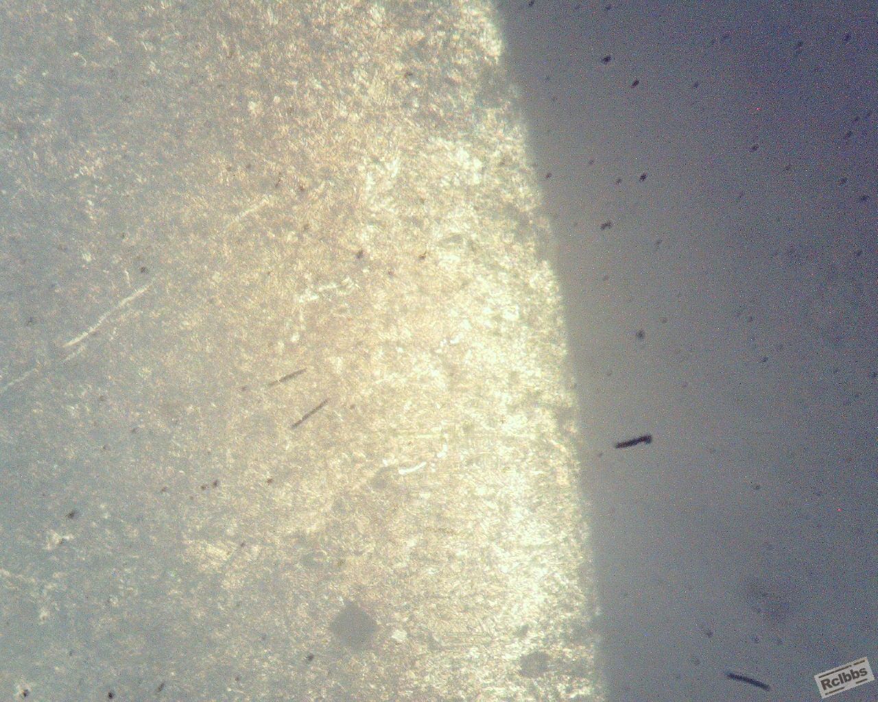Image-1_2012-04-23.JPG