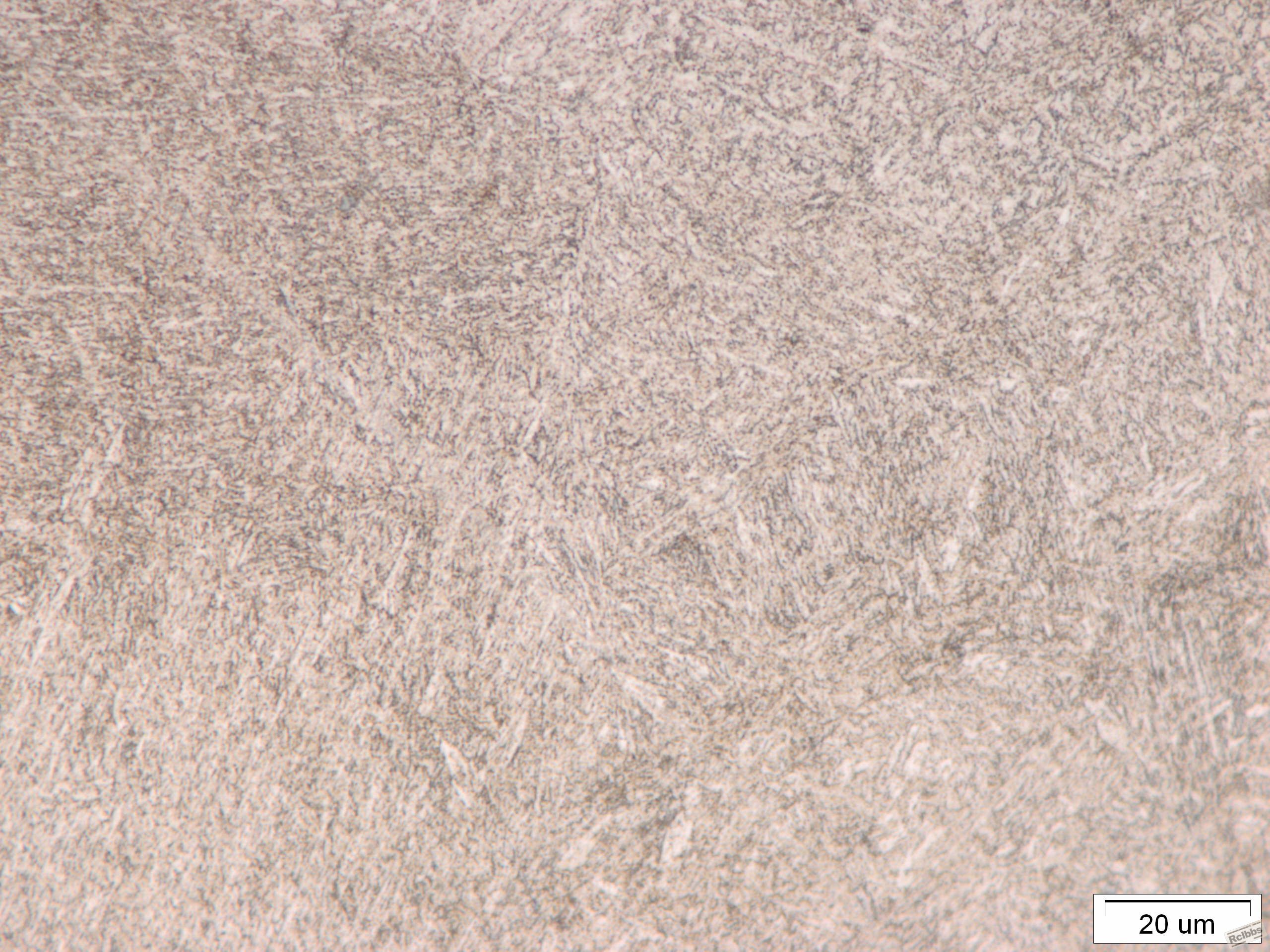内侧1-1000.jpg