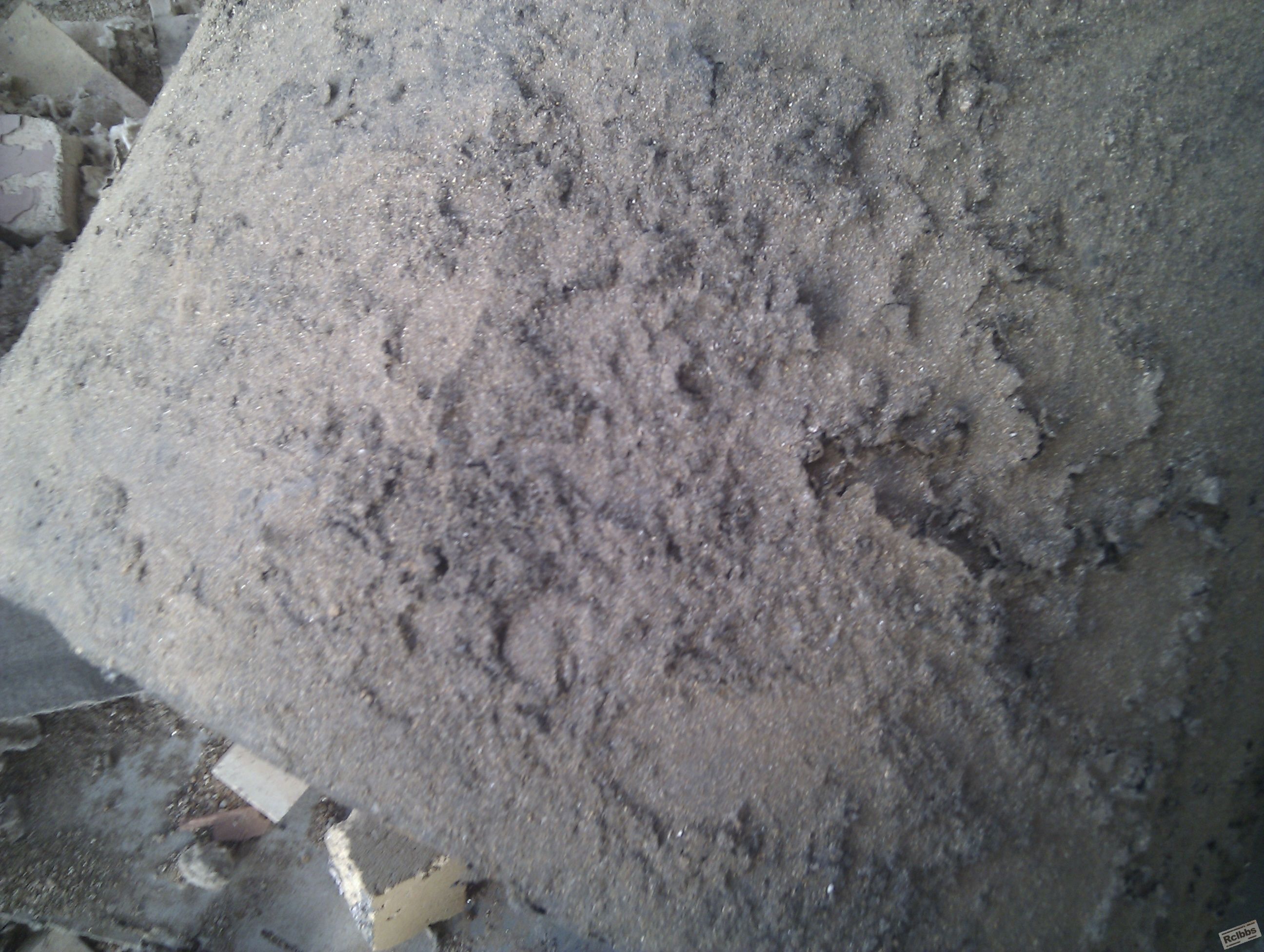 IMAG0940.jpg