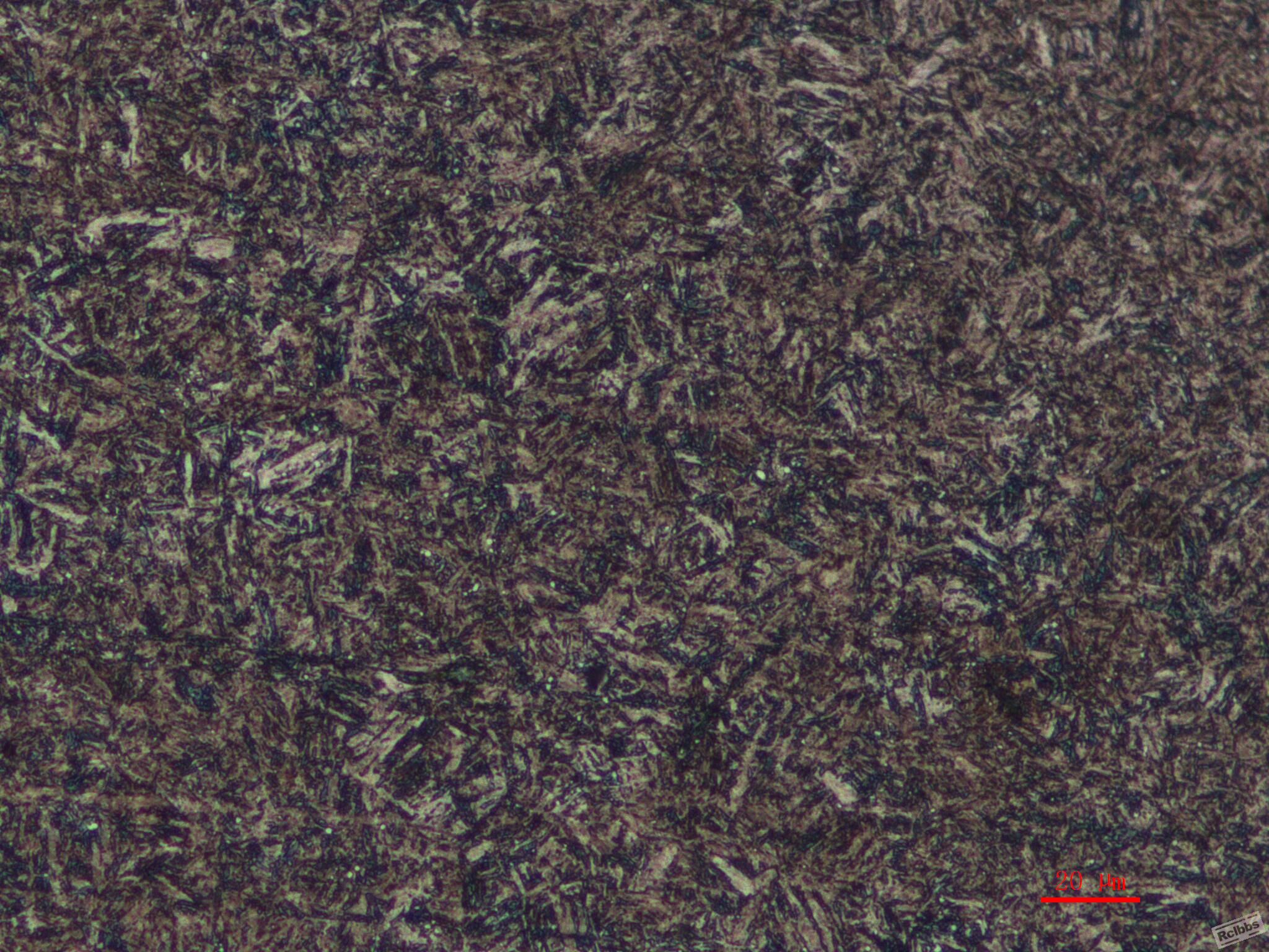 J04112-500-2.jpg
