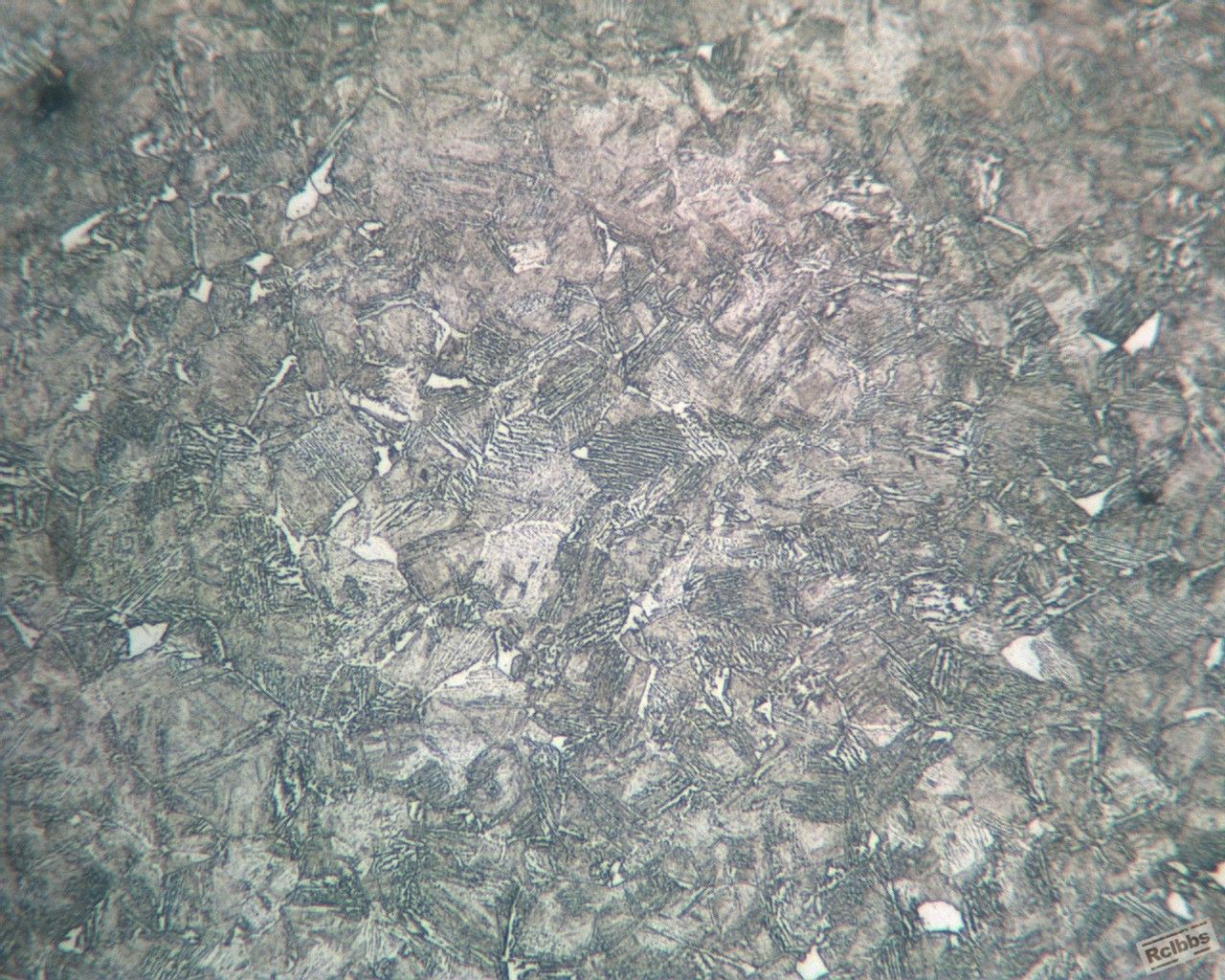 ECH10X3898IMG.jpg