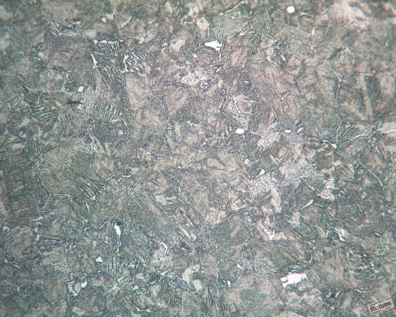 ECH10X3899IMG.jpg