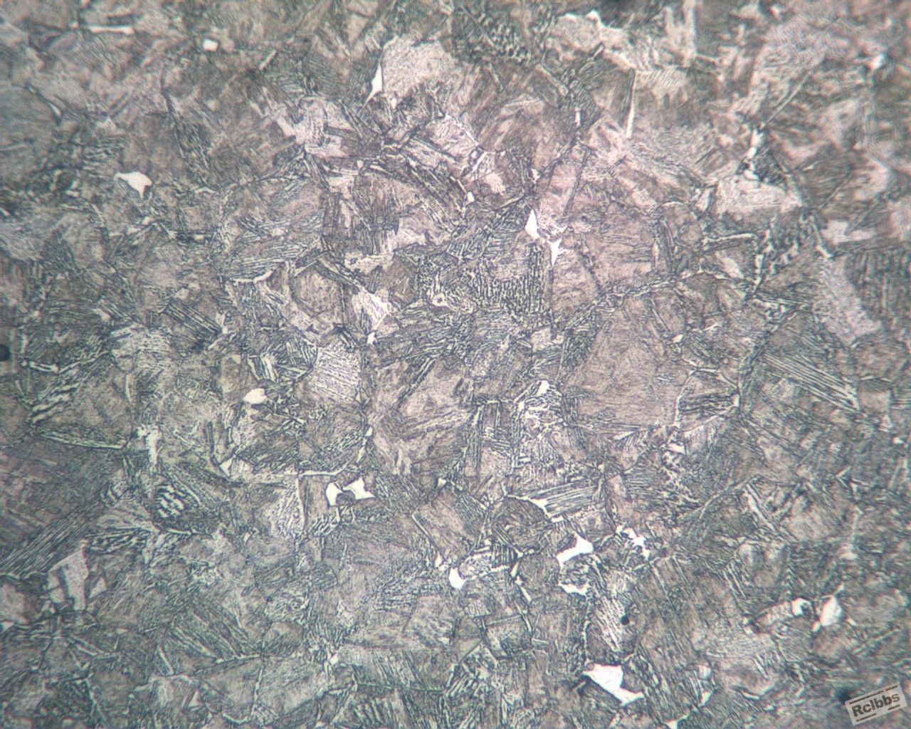 ECH10X3900IMG.jpg