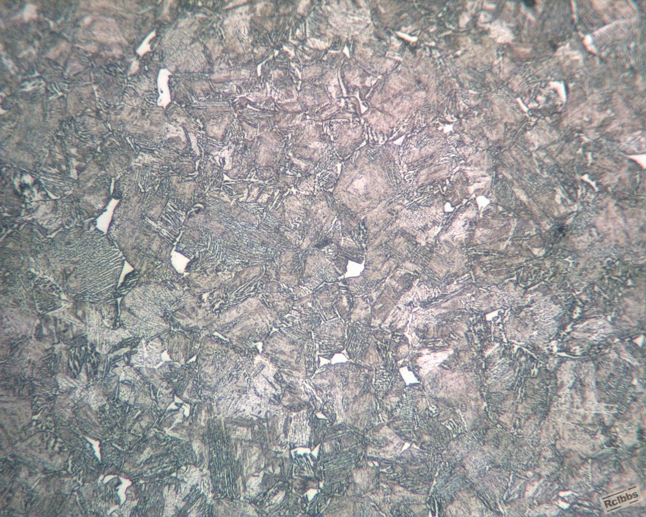 ECH10X3901IMG.jpg