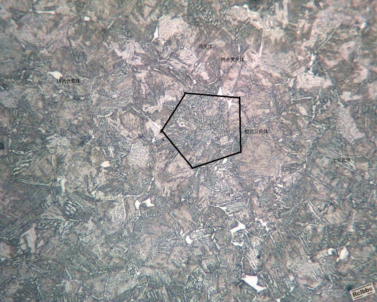 ECH10X3900IMG.jpg
