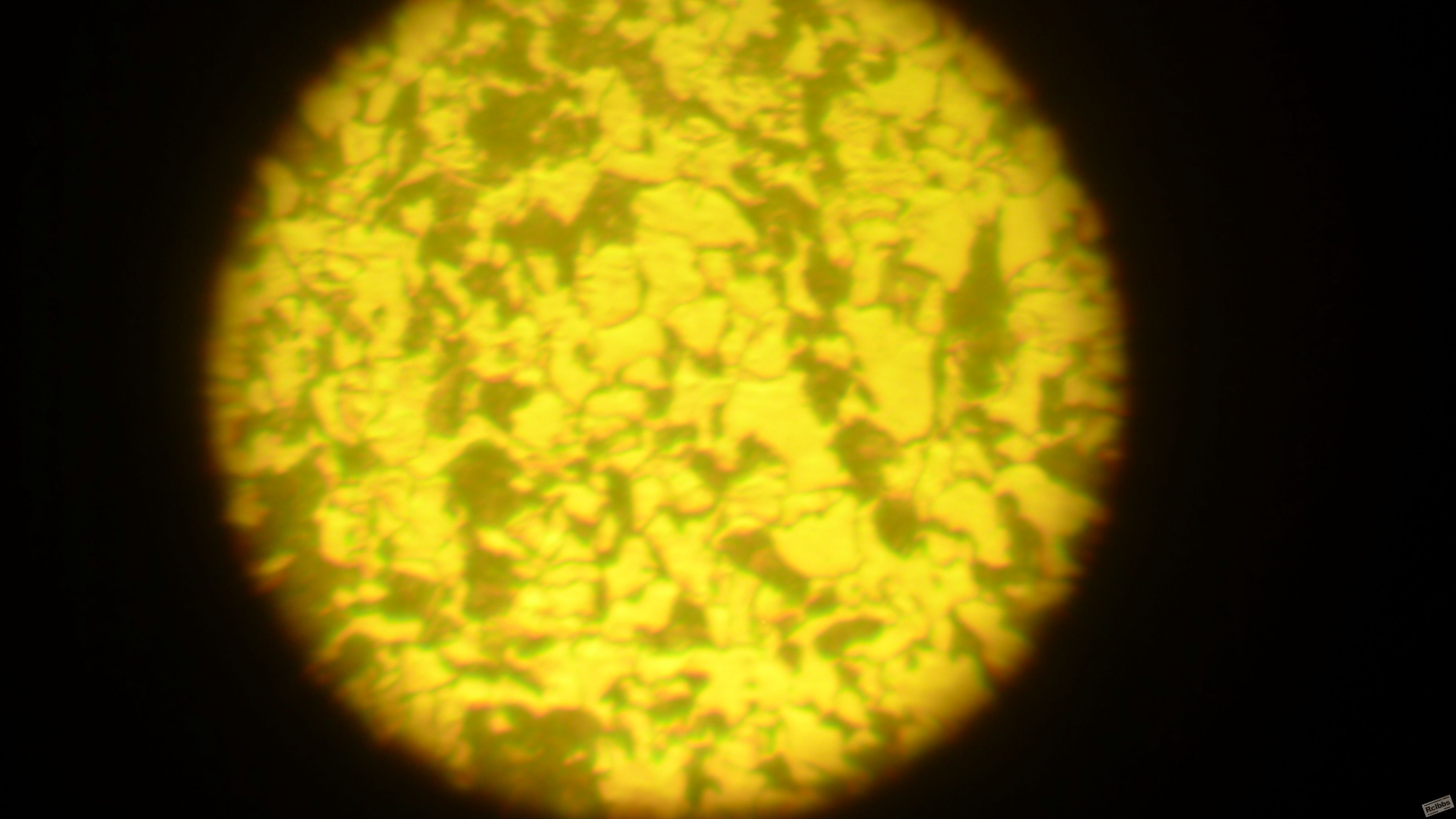 L1010013.JPG