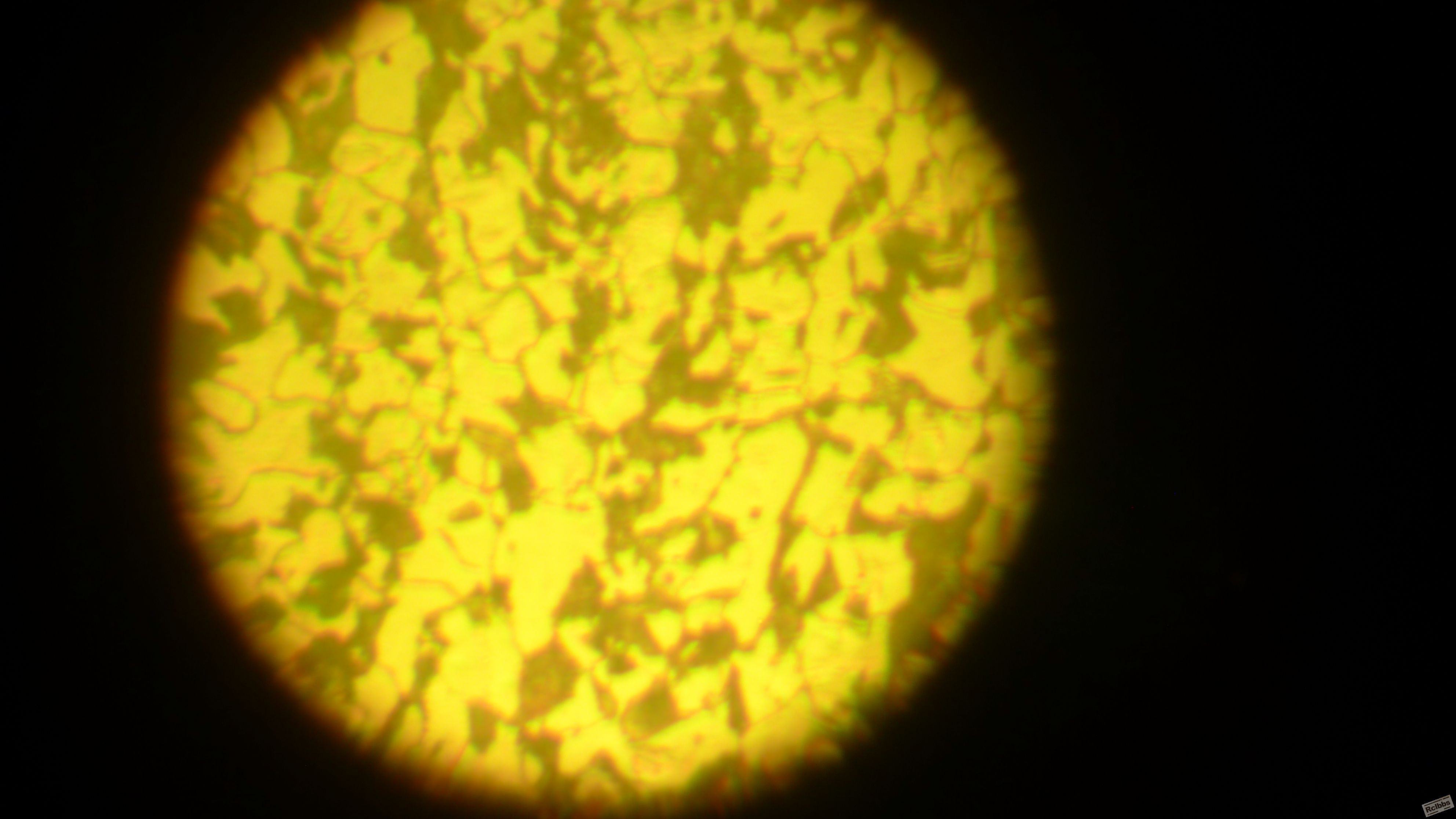 L1010019.JPG