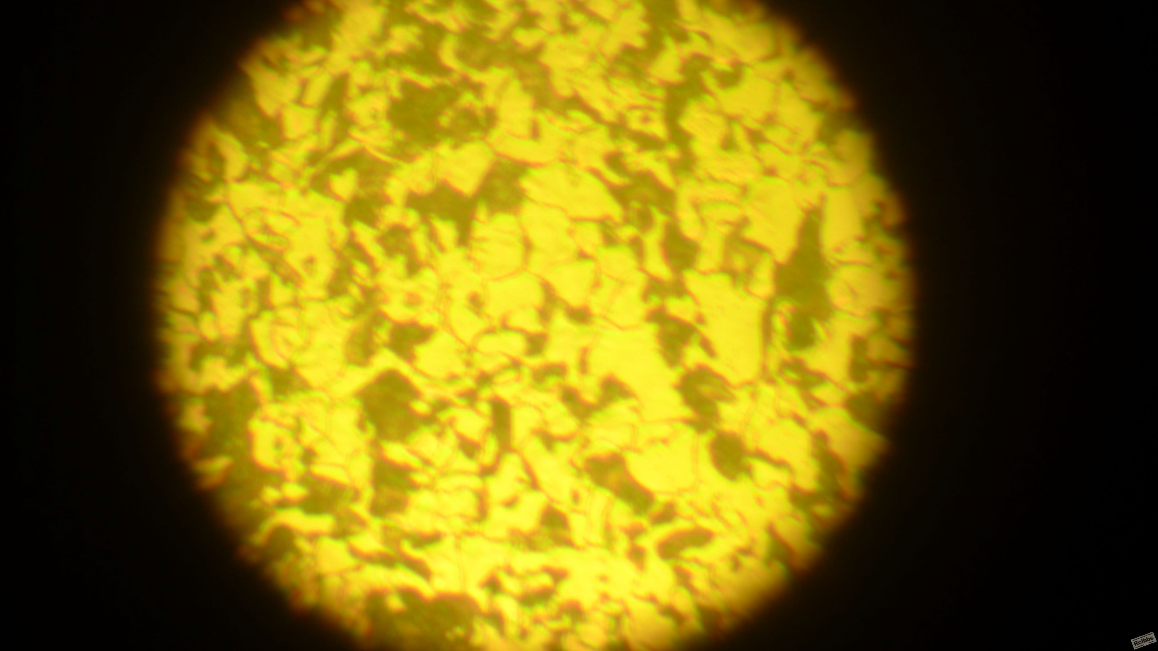 L1010014.JPG