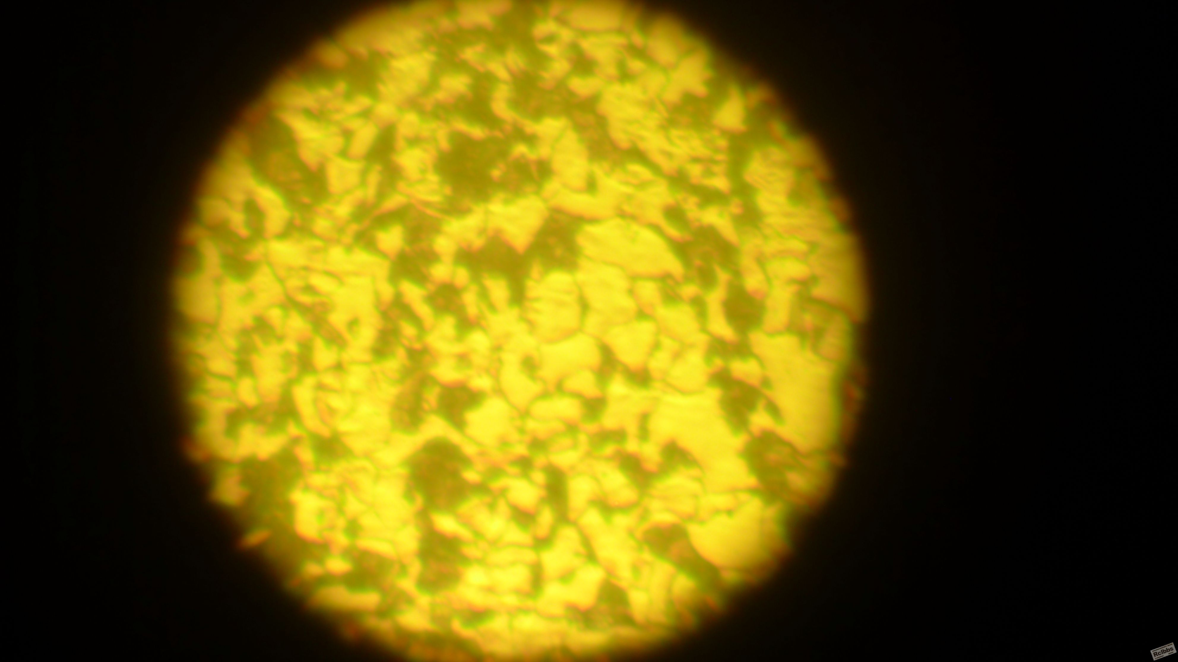 L1010015.JPG