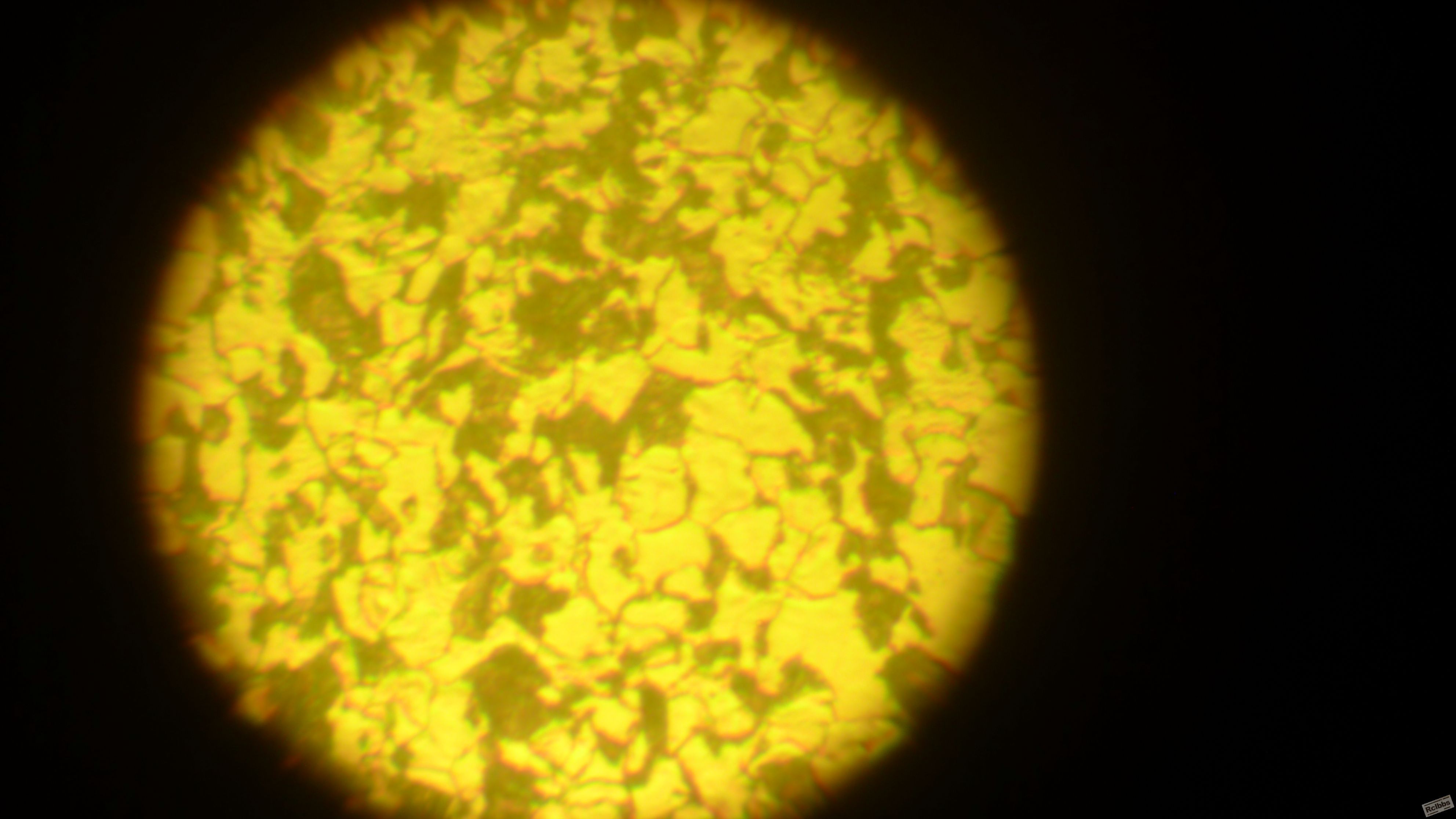 L1010016.JPG