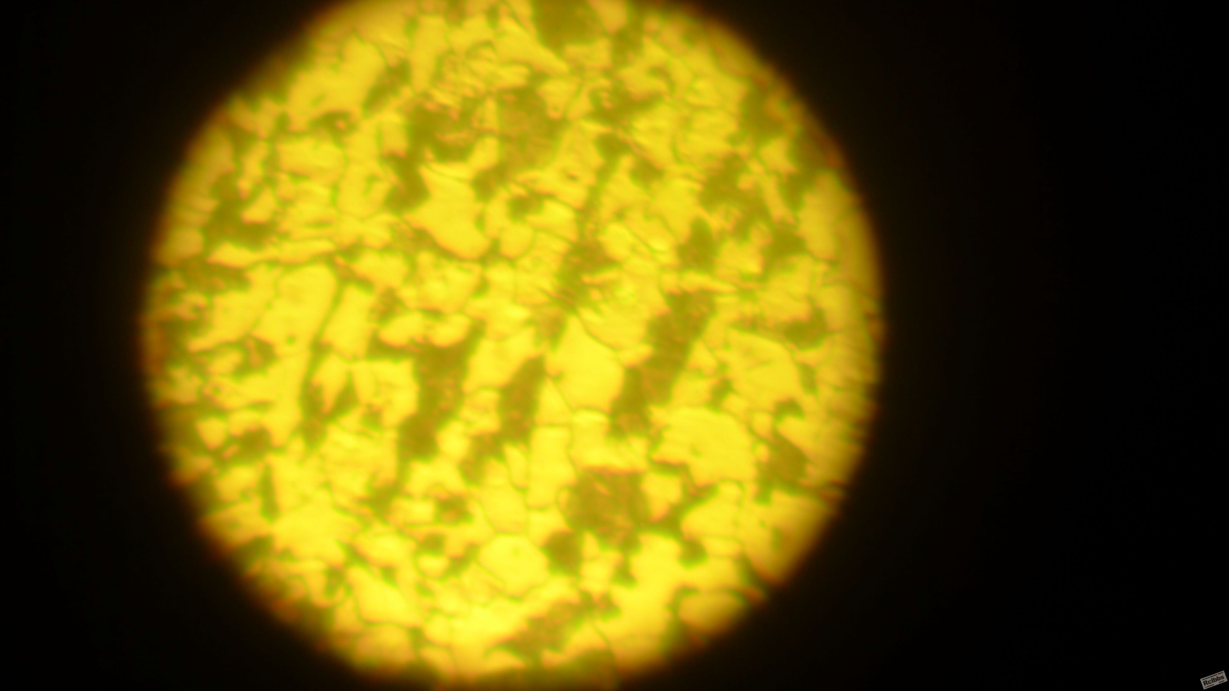 L1010017.JPG