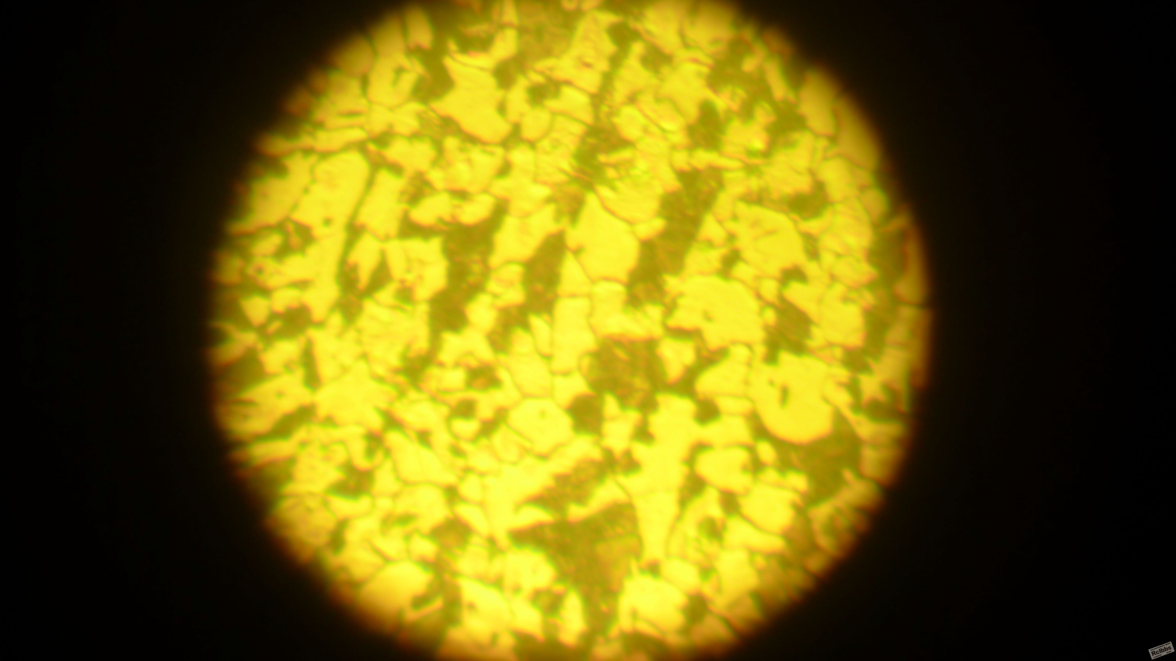 L1010018.JPG