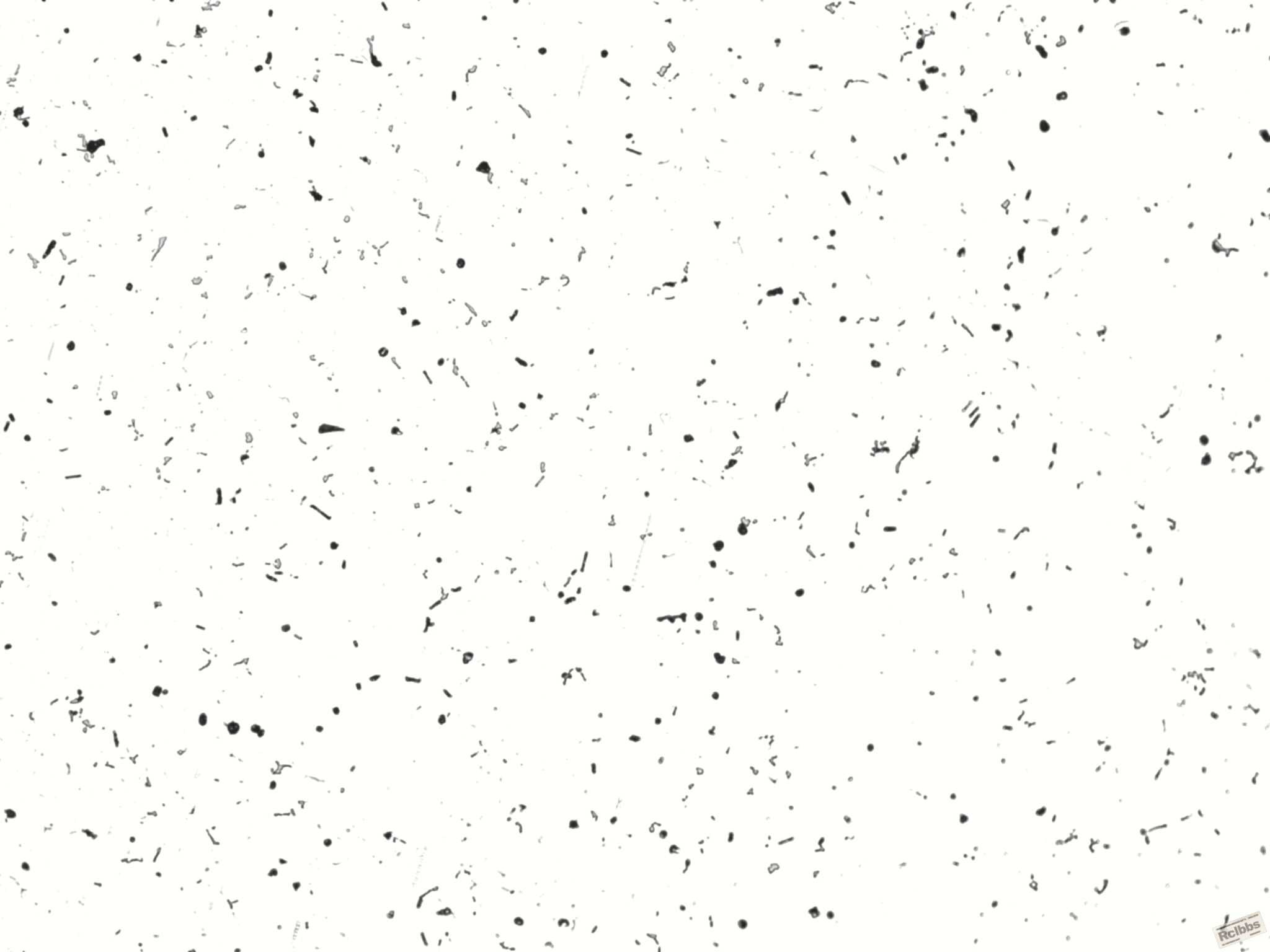200x-1.jpg