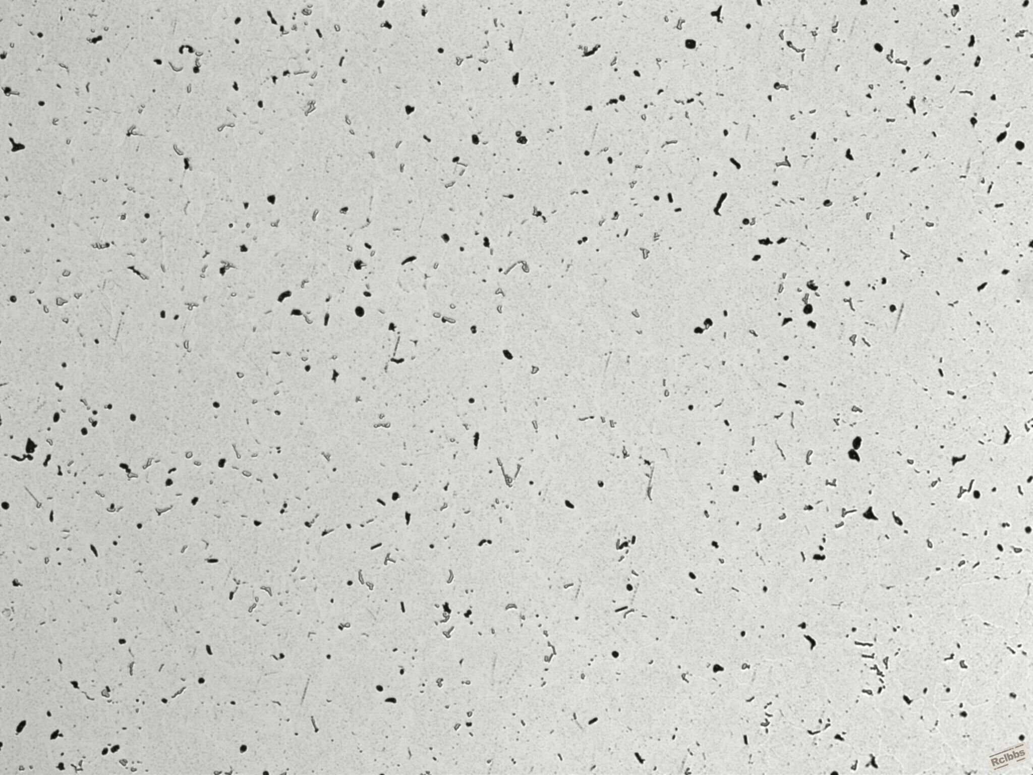 200x-2.jpg