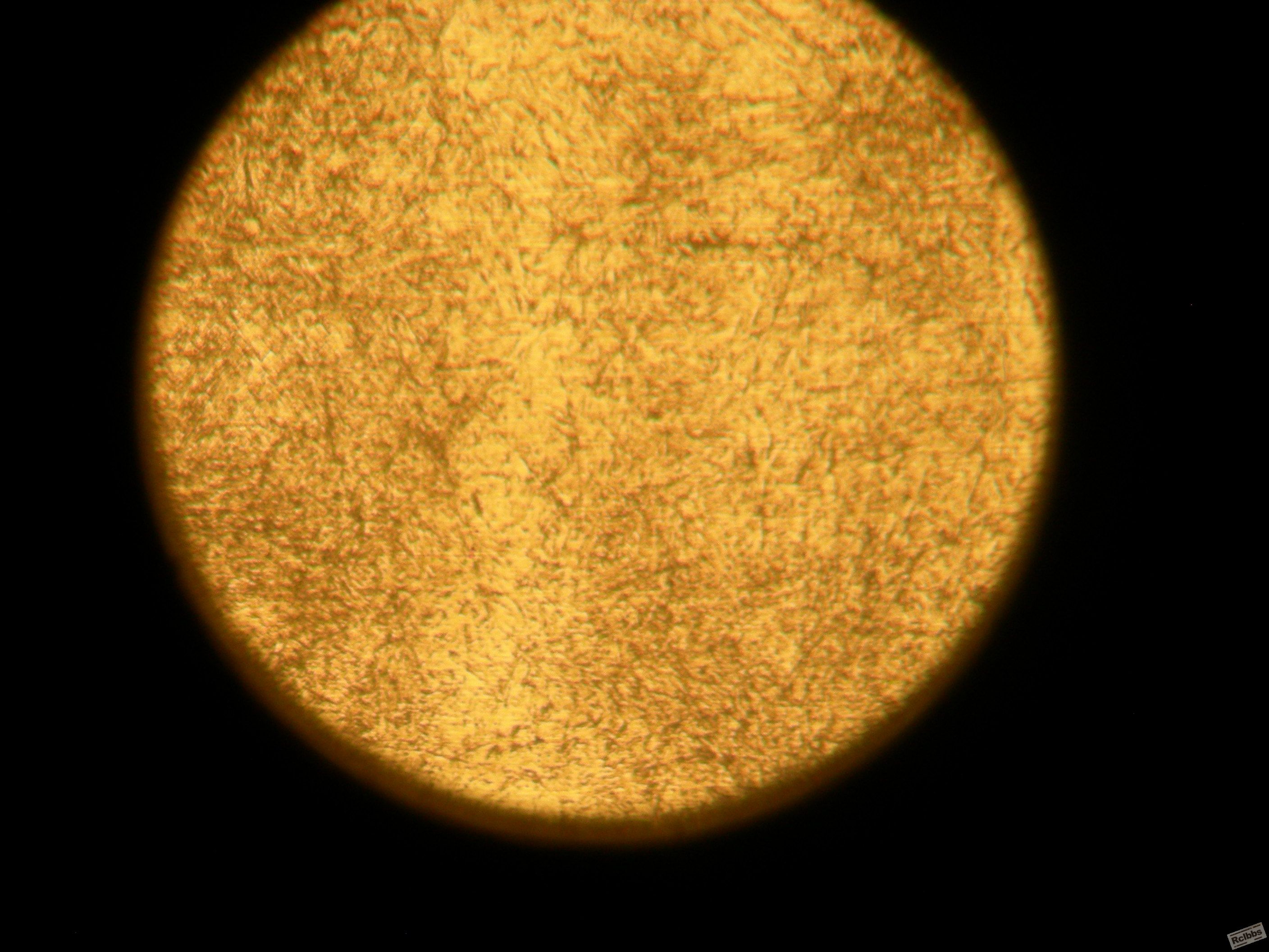 DSCN0664.JPG