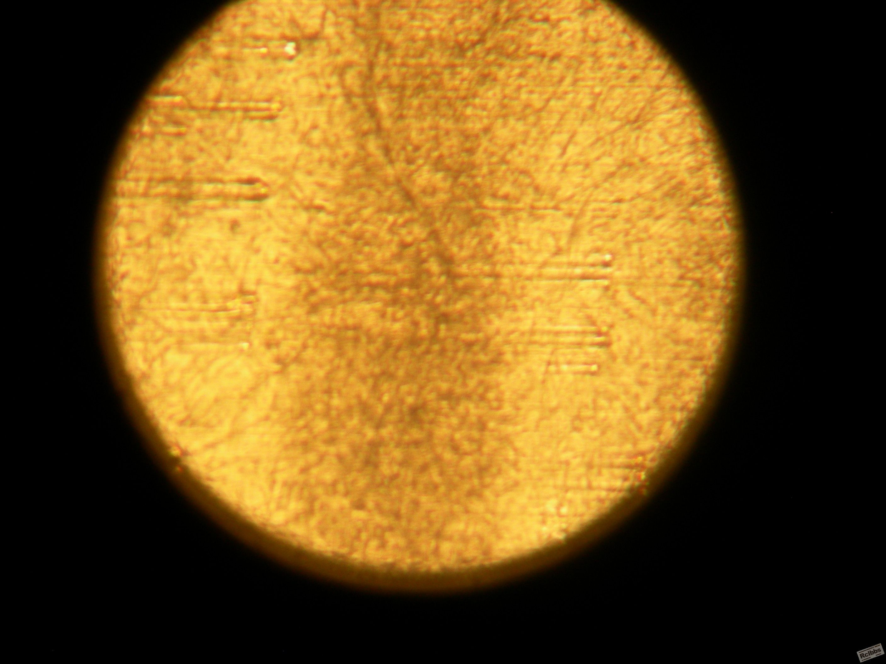 DSCN0662.JPG