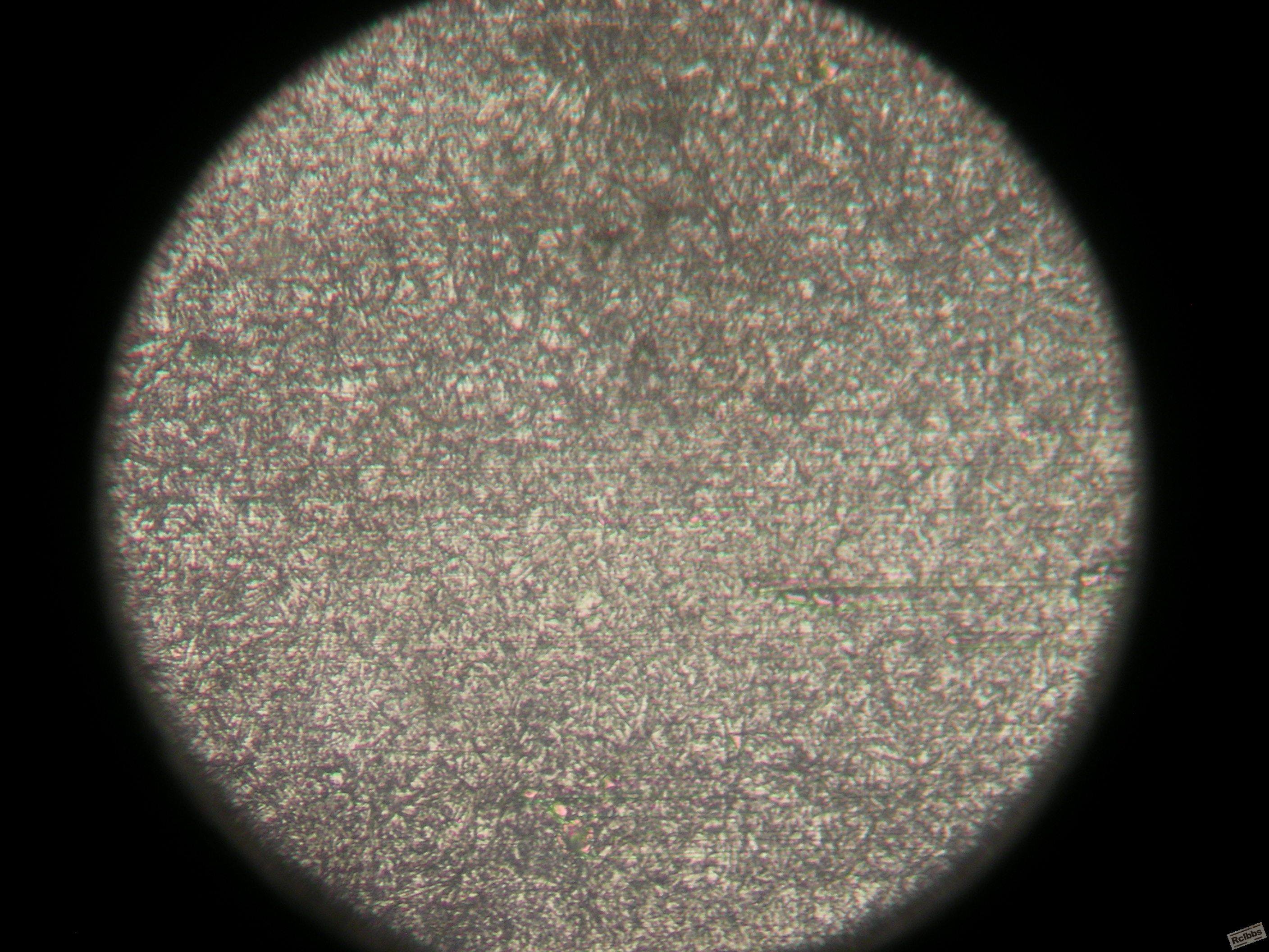 DSCN0688.JPG