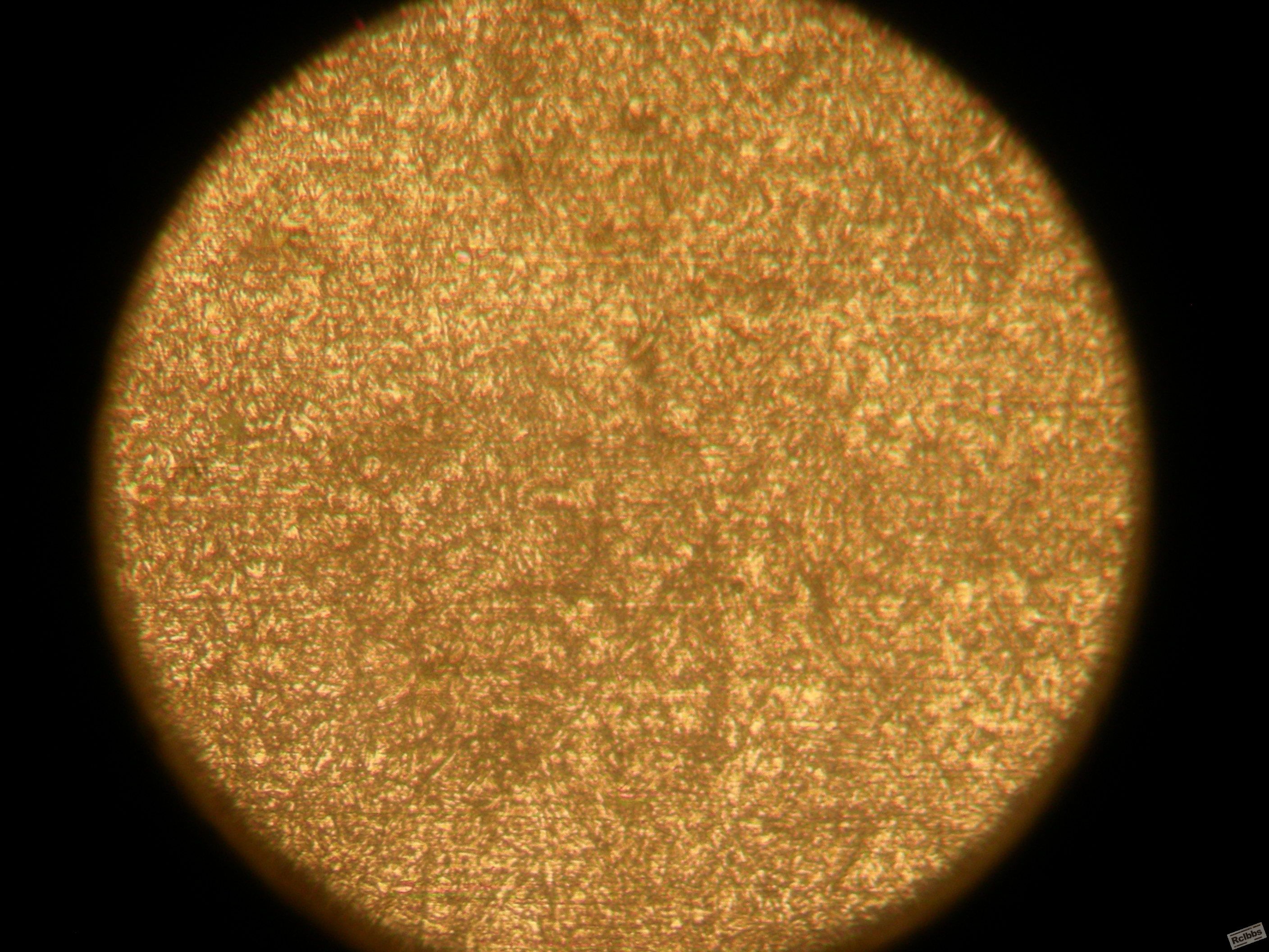 DSCN0681.JPG