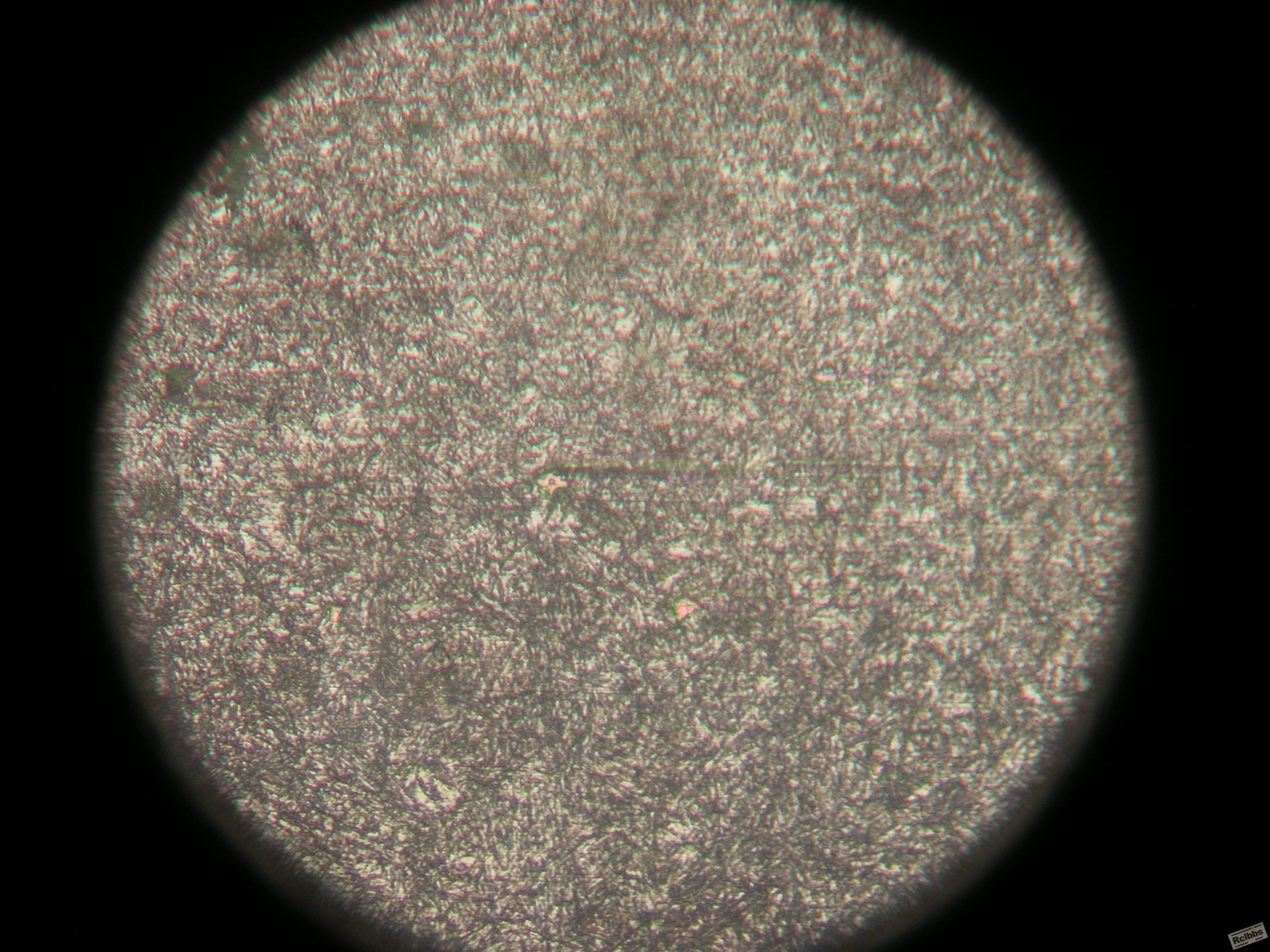 DSCN0684.JPG