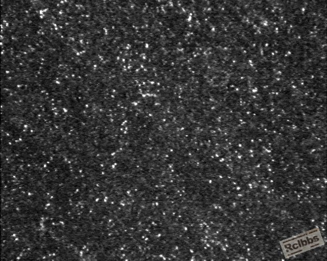 400X 001.jpg