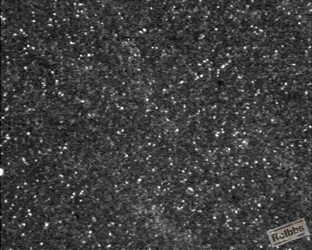 400X 002.jpg