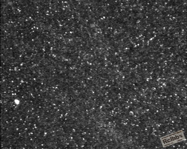 400X 003.jpg