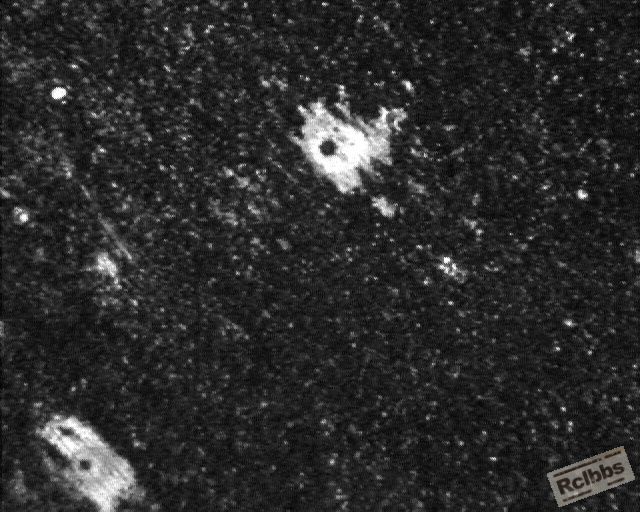 400X 004.jpg