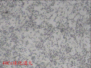 20120522-1.jpg