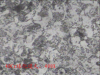 20120522-2.jpg