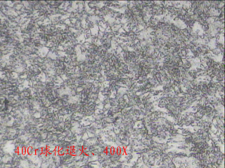 20120522-4.jpg