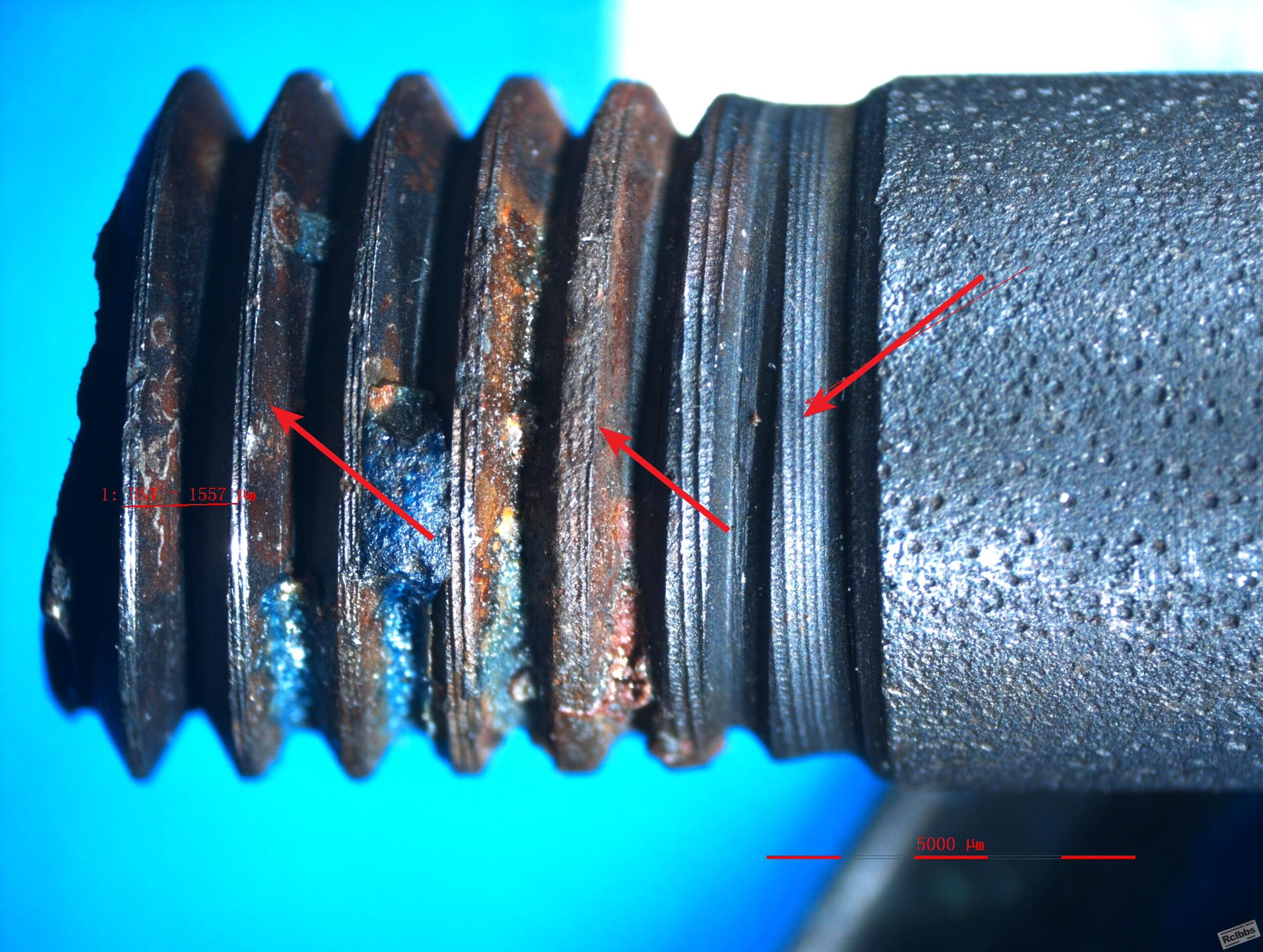 oldbolt8X-2.jpg