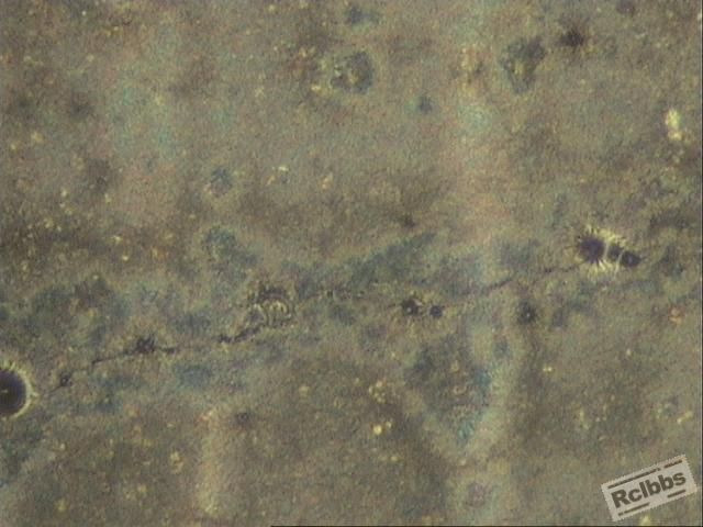 12-0524-14174.JPG