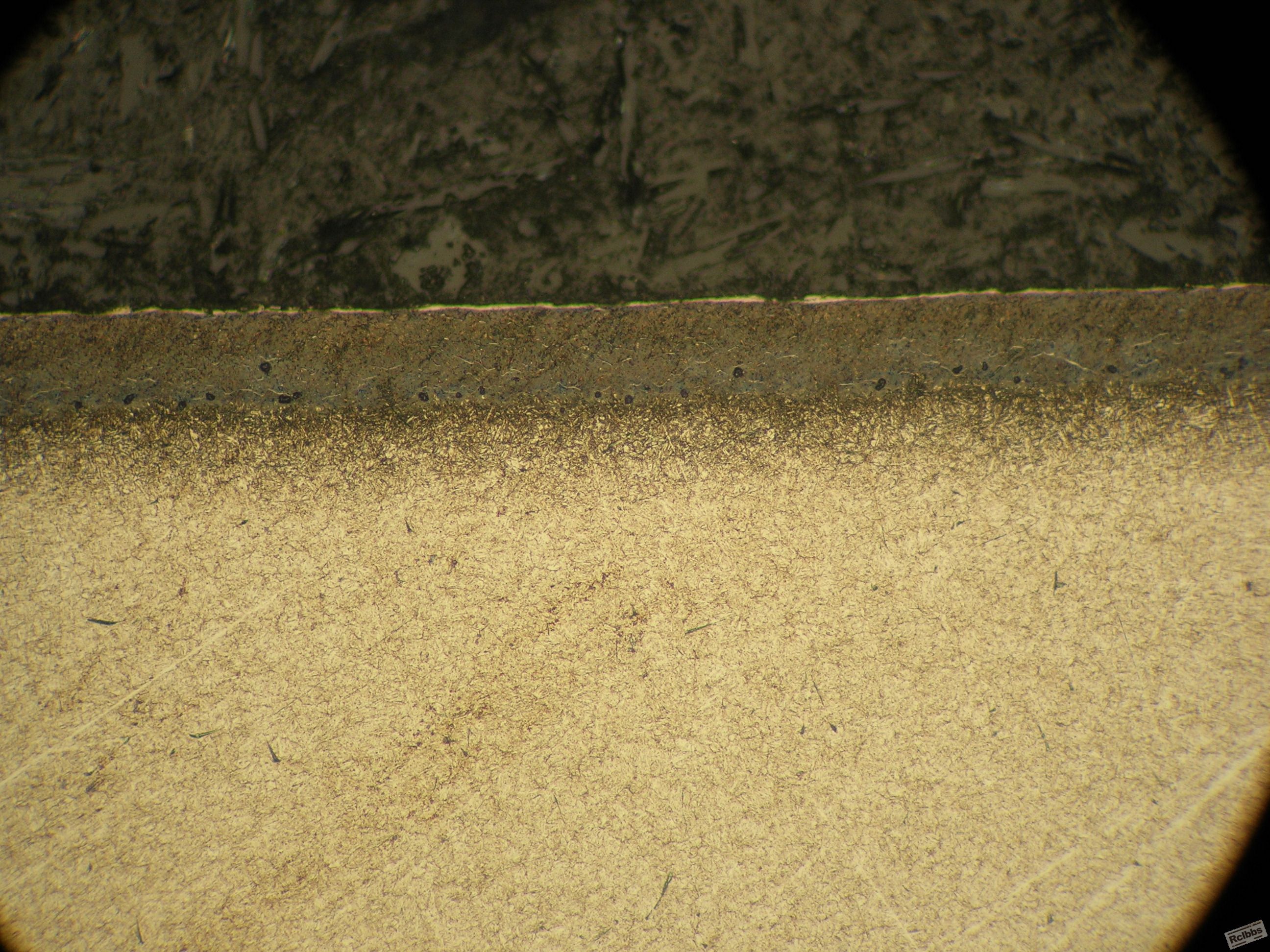 DSCN0009.JPG