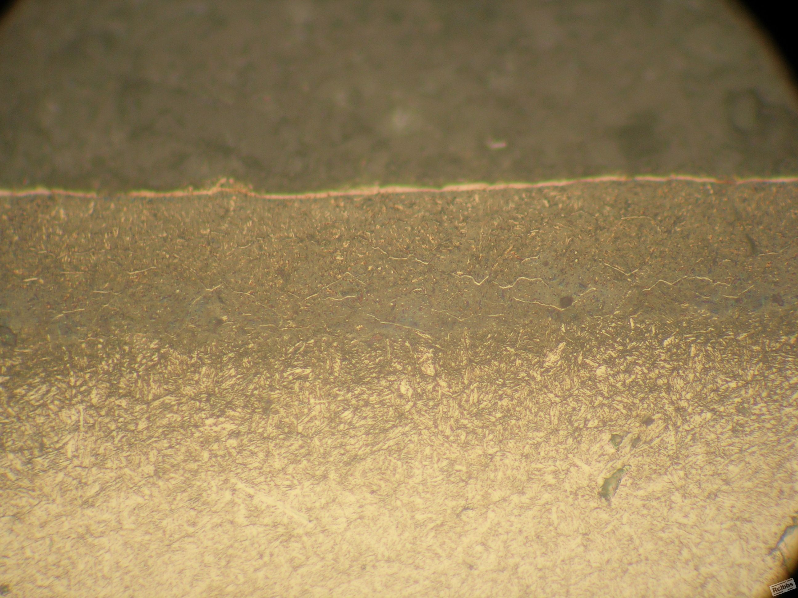 DSCN0011.JPG