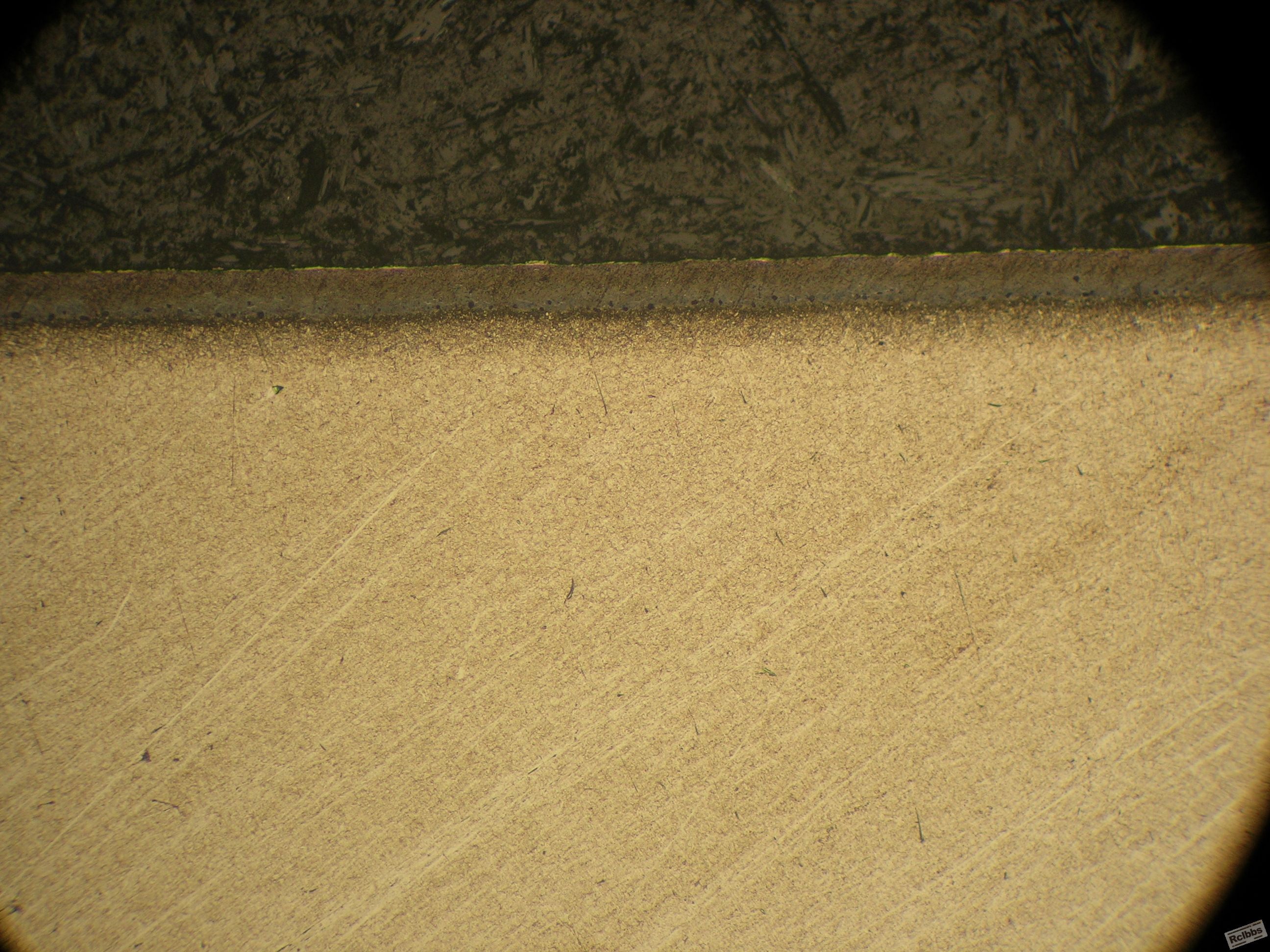 DSCN0008.JPG