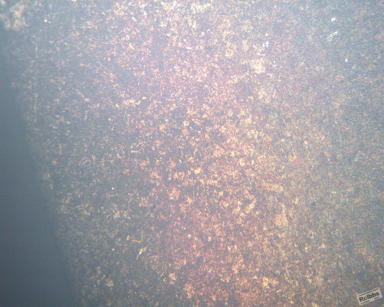 40X8812.jpg