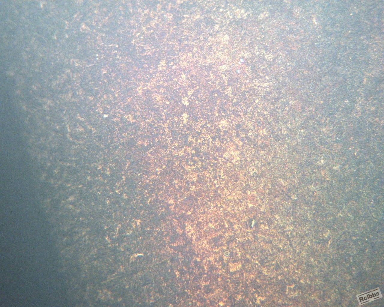 40X8813.jpg
