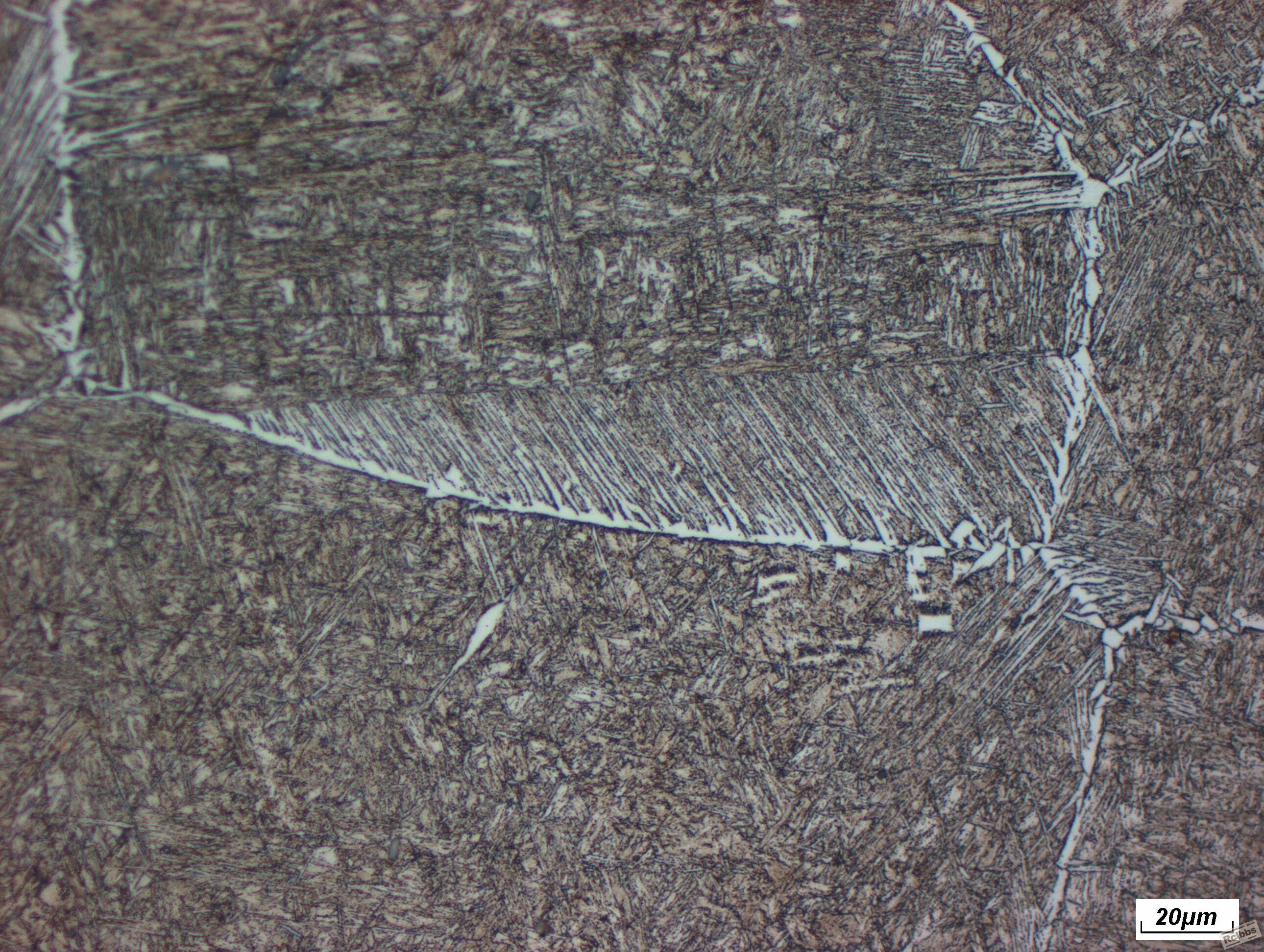 16mn500.jpg