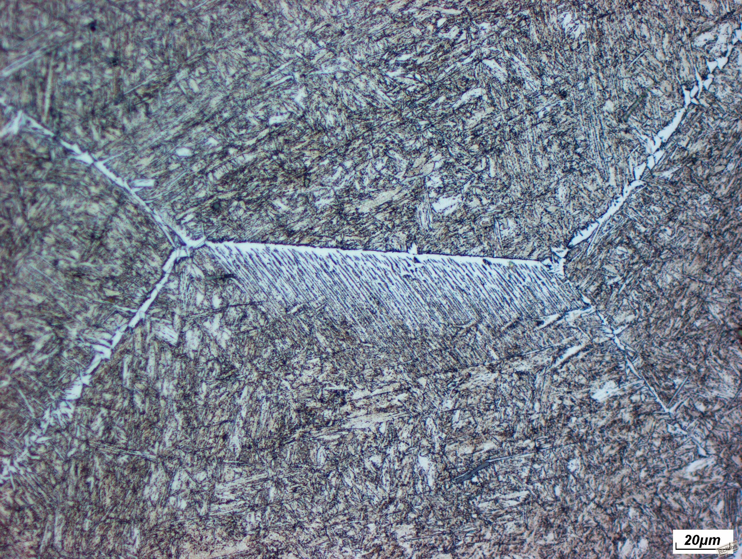 16mn500-1a.jpg
