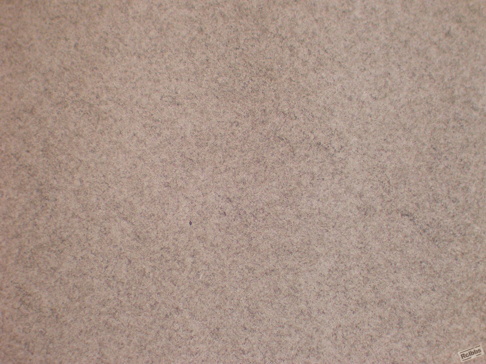 100倍