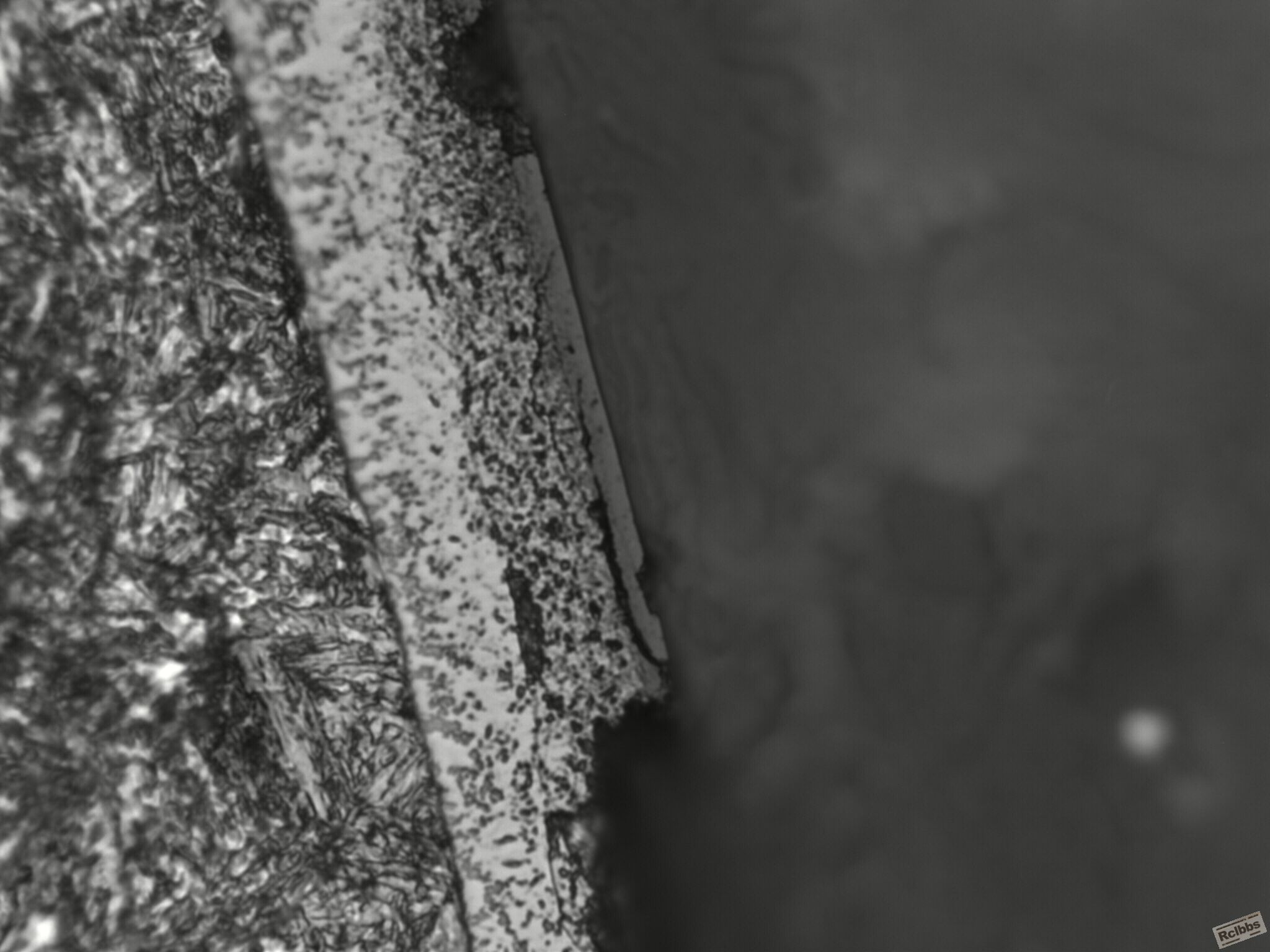 1000x-1.jpg