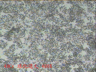 20120619-1.jpg